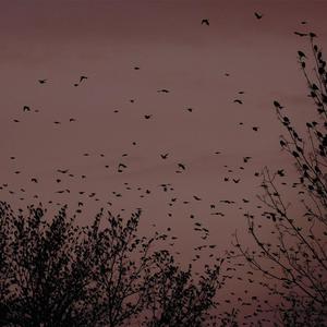 雏田乳❌🔞🔞㊙️网站
